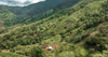 Colombian coffee: flavor profile, regions, and the best beans to buy