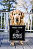 Get to know Atomic Coffee Roasters