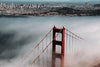 City Guide: What to Do in San Francisco