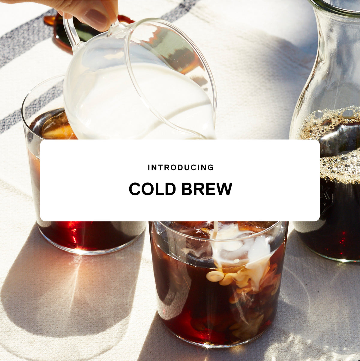 (Duplicate) Cold Brew Collection Trade Coffee