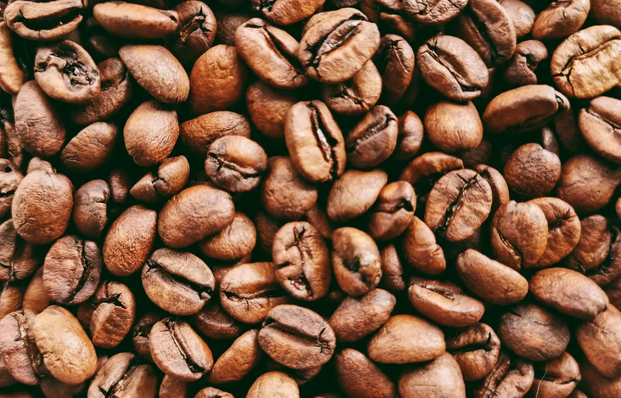 Smooth Medium Roasts