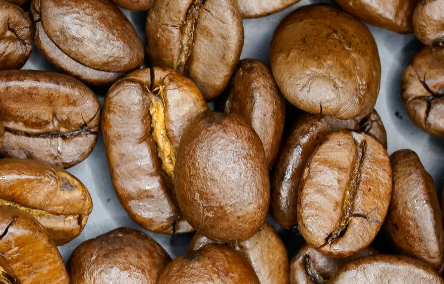 Light Roast Collection