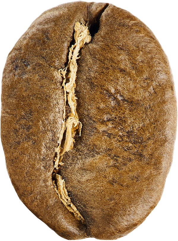 Light Roast Subscription