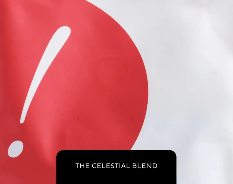 This worker-owned roastery sets the standard for responsibility, sourcing Fair Trade and Organic beans for a tasty, well-rounded lineup.