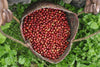  Burundi coffee is on the rise — for good reason 