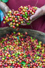 Is coffee really going extinct? 