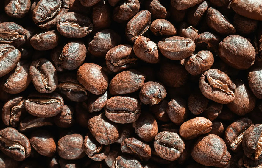 Darkest Classic Dark Roasts