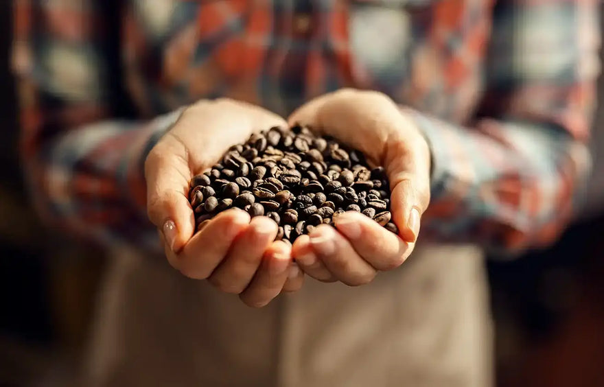 Single Origin Coffees