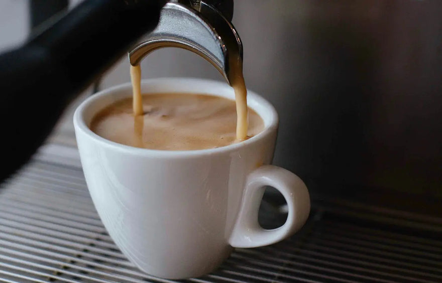 Dark Roasts and Espressos