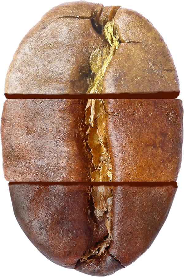 Best Sellers Subscription