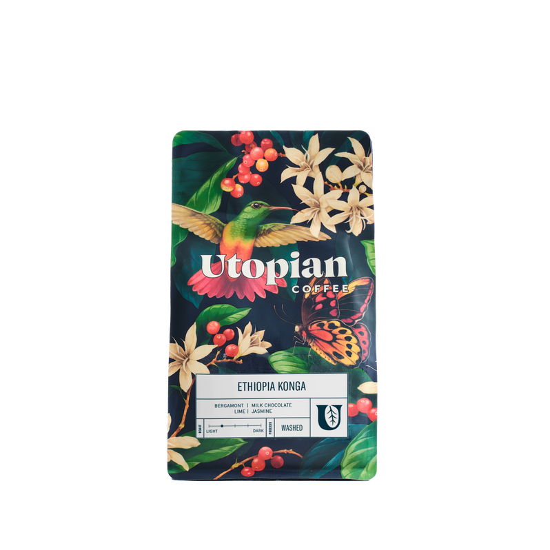 Ethiopia Konga