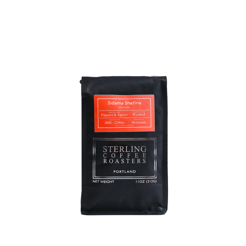 Ethiopia Sidama Shefina