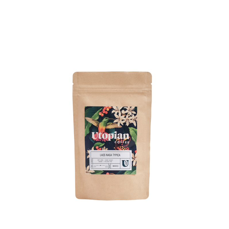 Laos Naga Typica