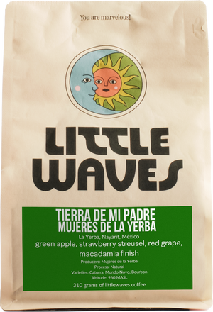 Tierra de mi Padre Mujeres de la Yerba