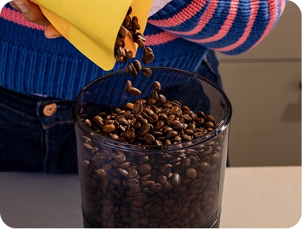 The best beans for home brewing