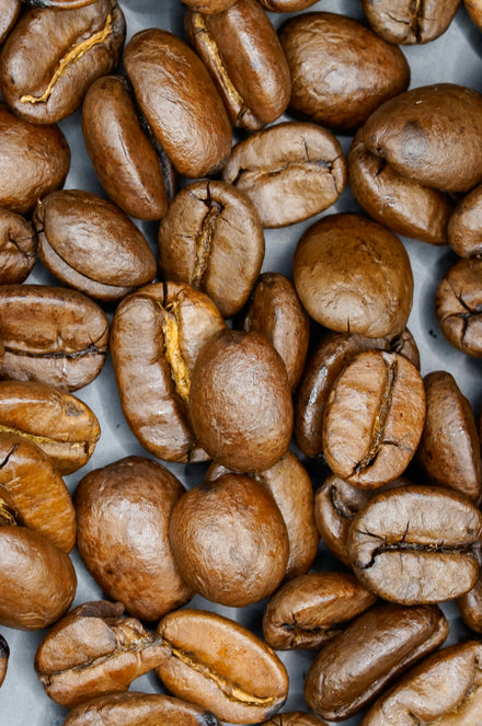 Light Roast Collection