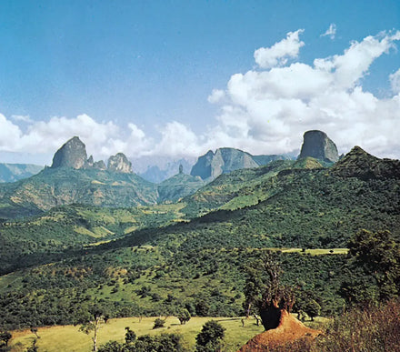 Ethiopian Coffees
