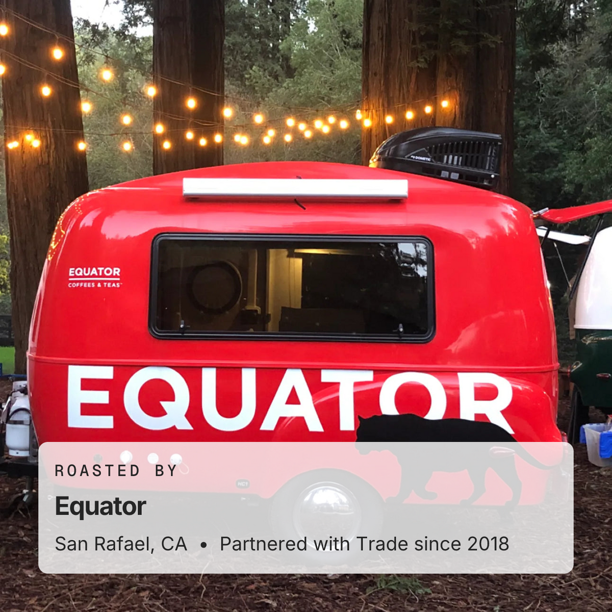 Decaf Eye of the Tiger Espresso | Trade Coffee