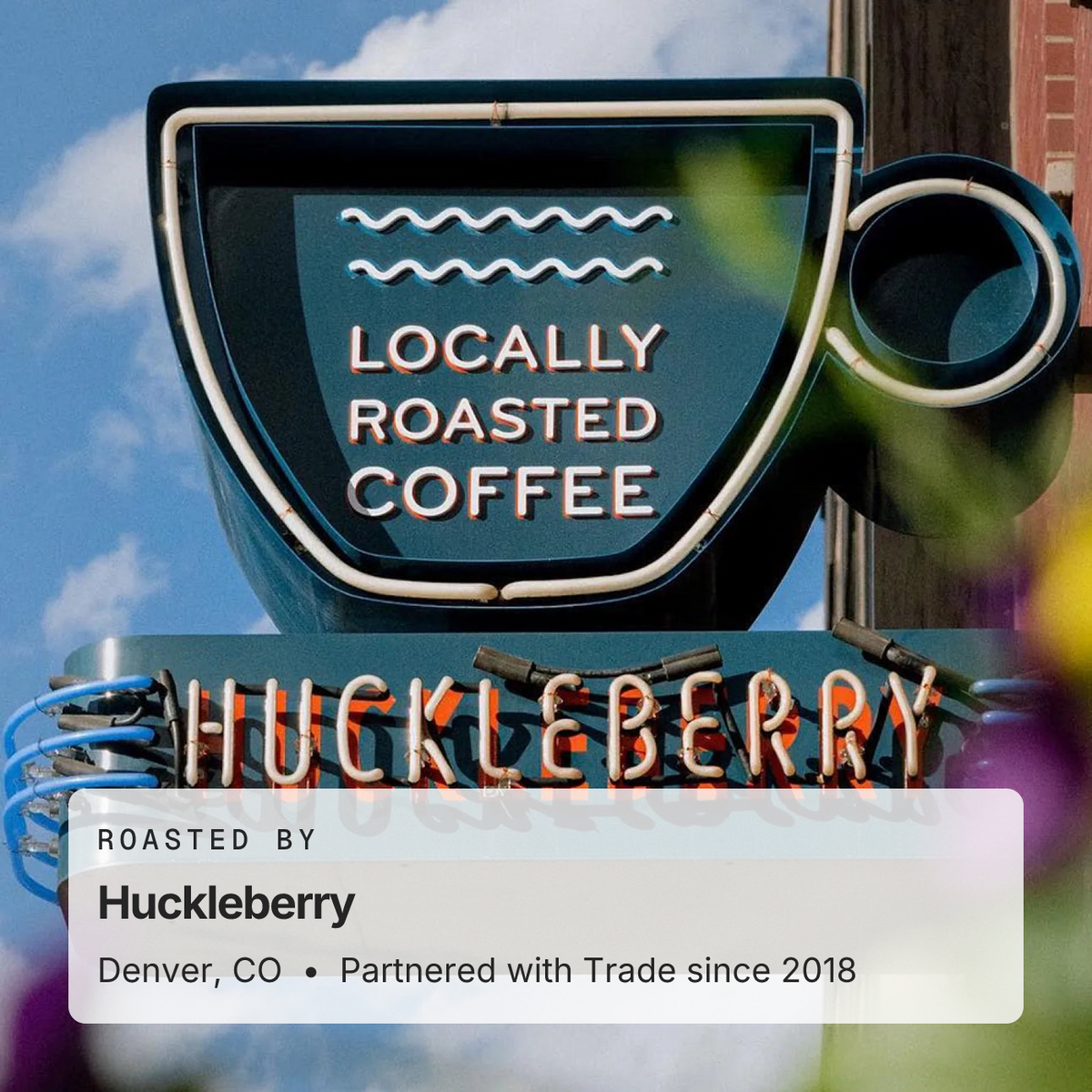 Blue Orchid Blend | Trade Coffee