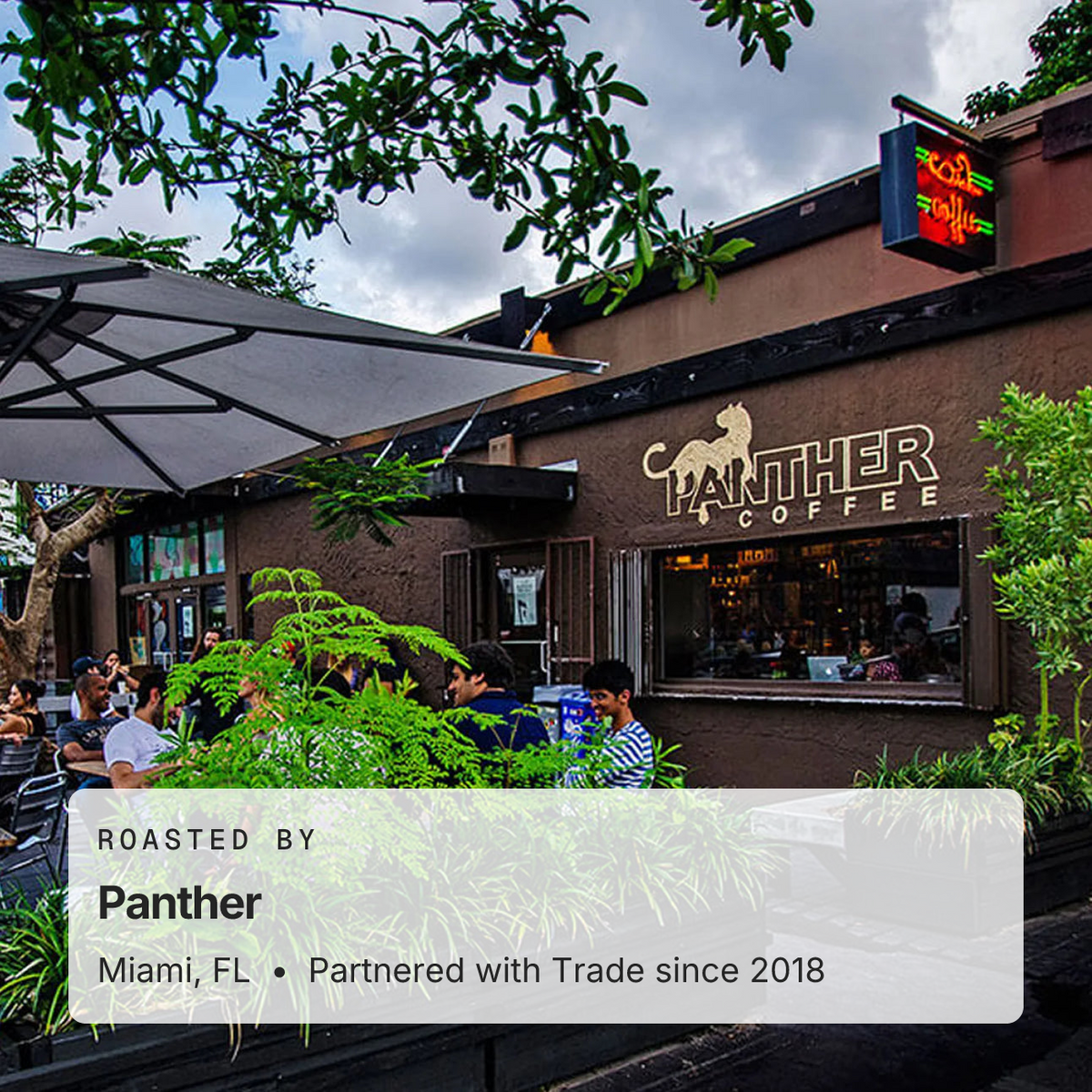 Mejor | Trade Coffee
