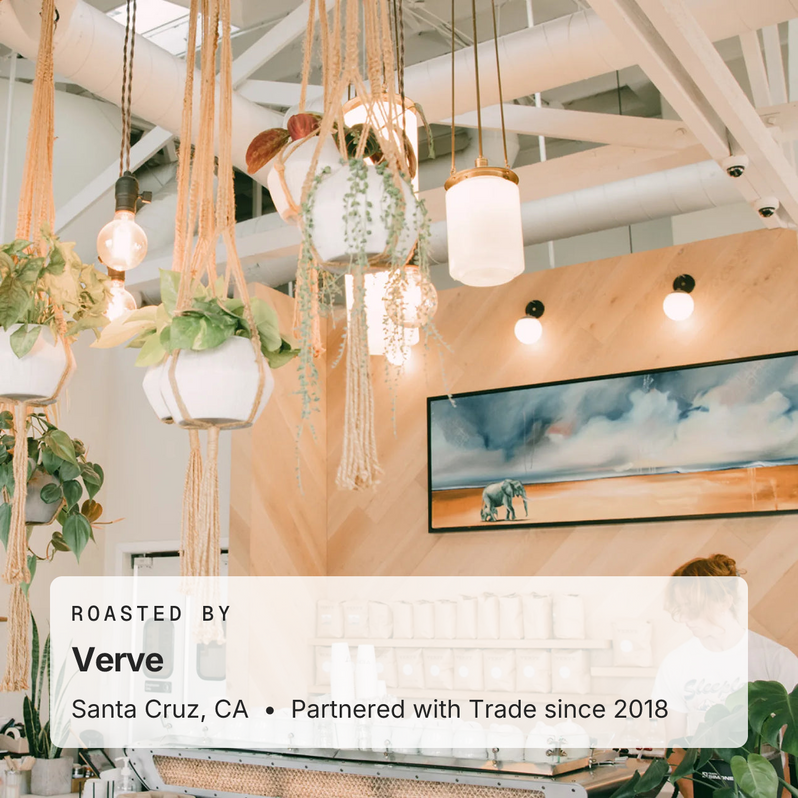 Roasted by Verve, Santa Cruz, CA