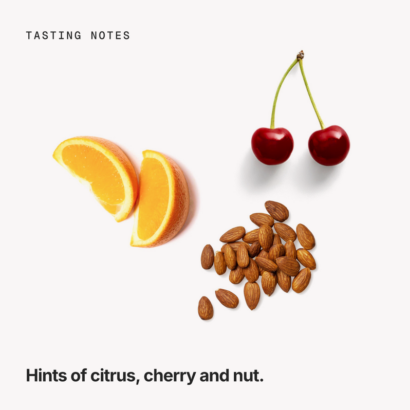 Tasting notes: citrus, cherry and nut