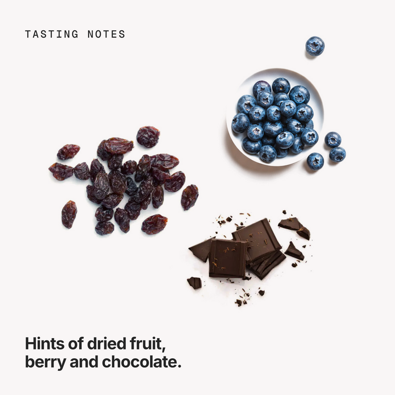 Tasting notes: dried fruit, berry and chocolate