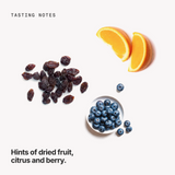 Tasting notes: dried fruit, citrus and berry