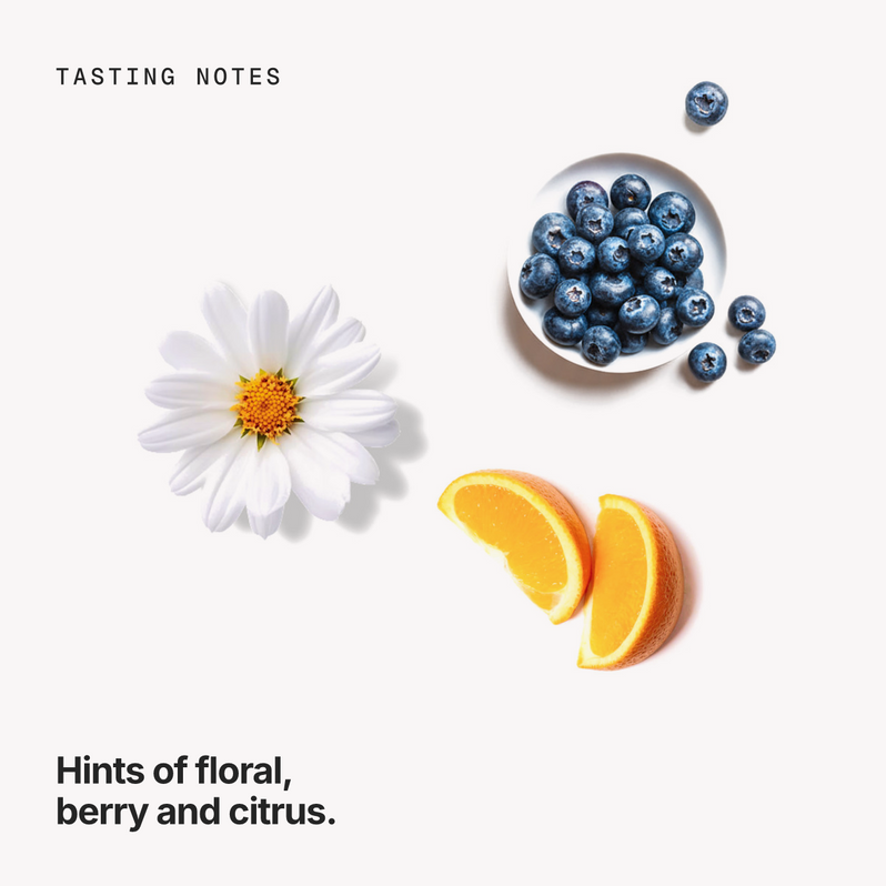 Tasting notes: floral, berry and citrus