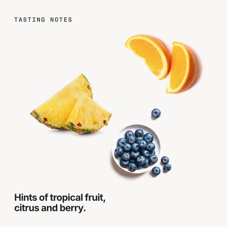Tasting notes: tropical fruit, citrus and berry