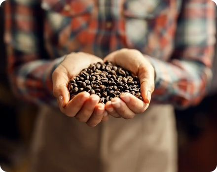 Single Origin Coffees
