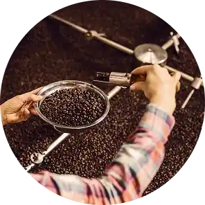 Shop limited-release coffees